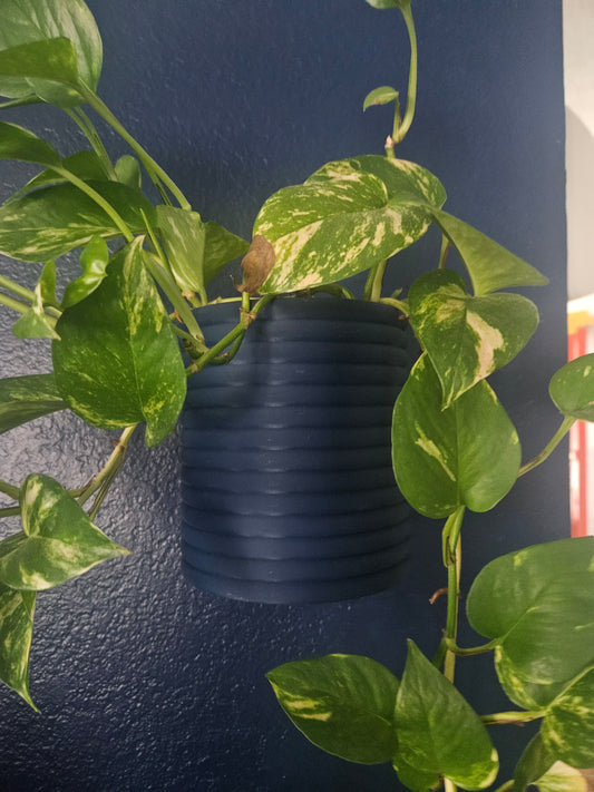 Poppy Wall Planter with Hidden Drip Tray