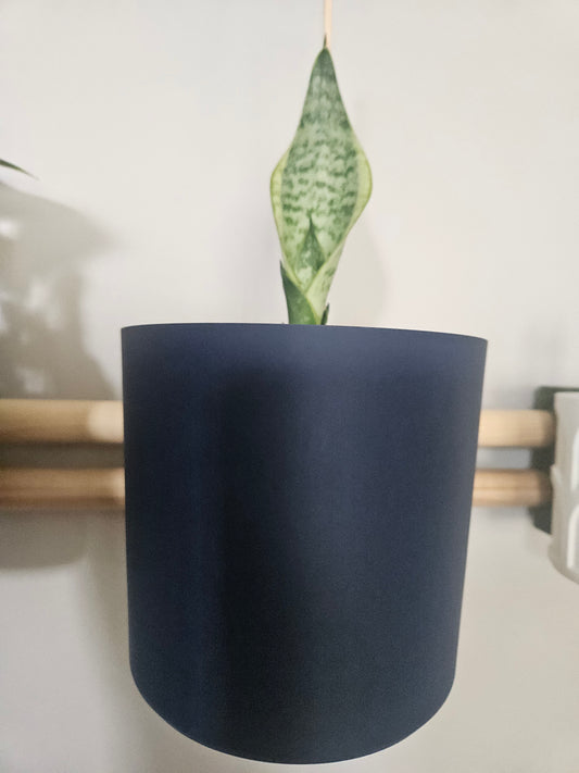 Smooth Wall Planter with Hidden Drip Tray