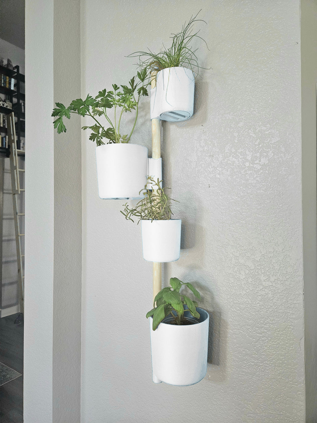 Vertical Gardens for Minimalist Homes: A Clean, Wall-Mounted System (Layout, Plants, Install Guide)
