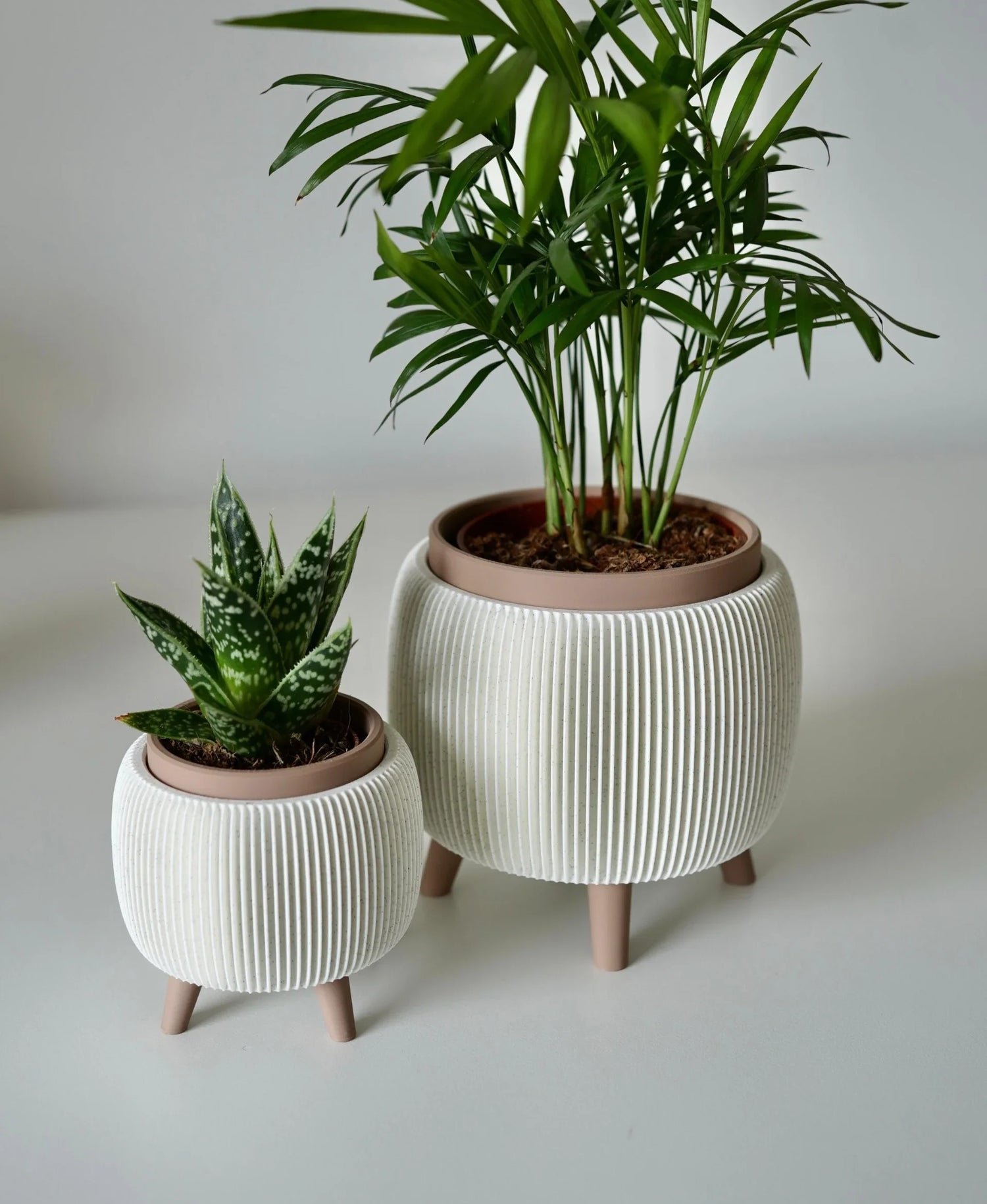 Plant Pots