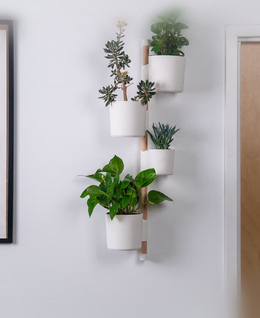The Urban Stem - Wall Mount