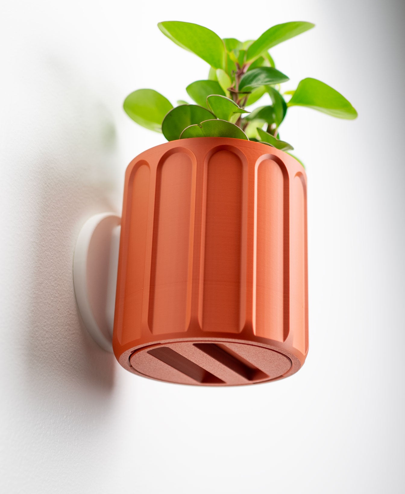 Linus Wall Planter with Hidden Drip Tray