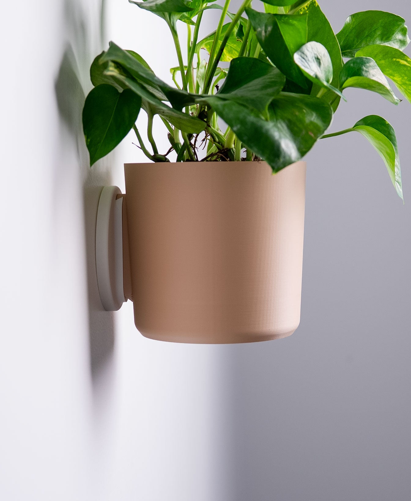 Smooth Wall Planter with Hidden Drip Tray
