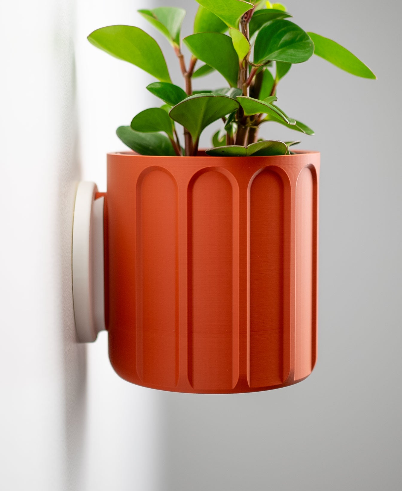 Linus Wall Planter with Hidden Drip Tray
