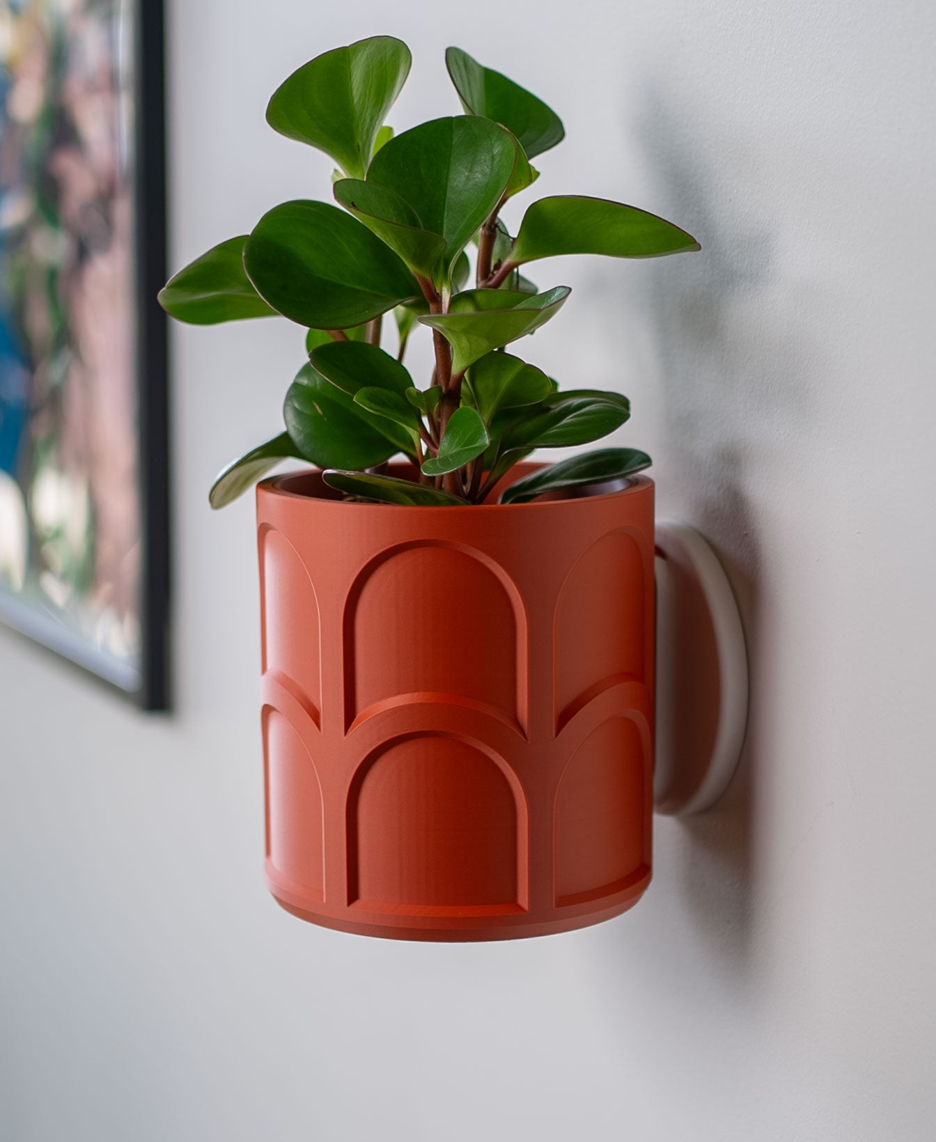 Archie Wall Planter with Hidden Drip Tray