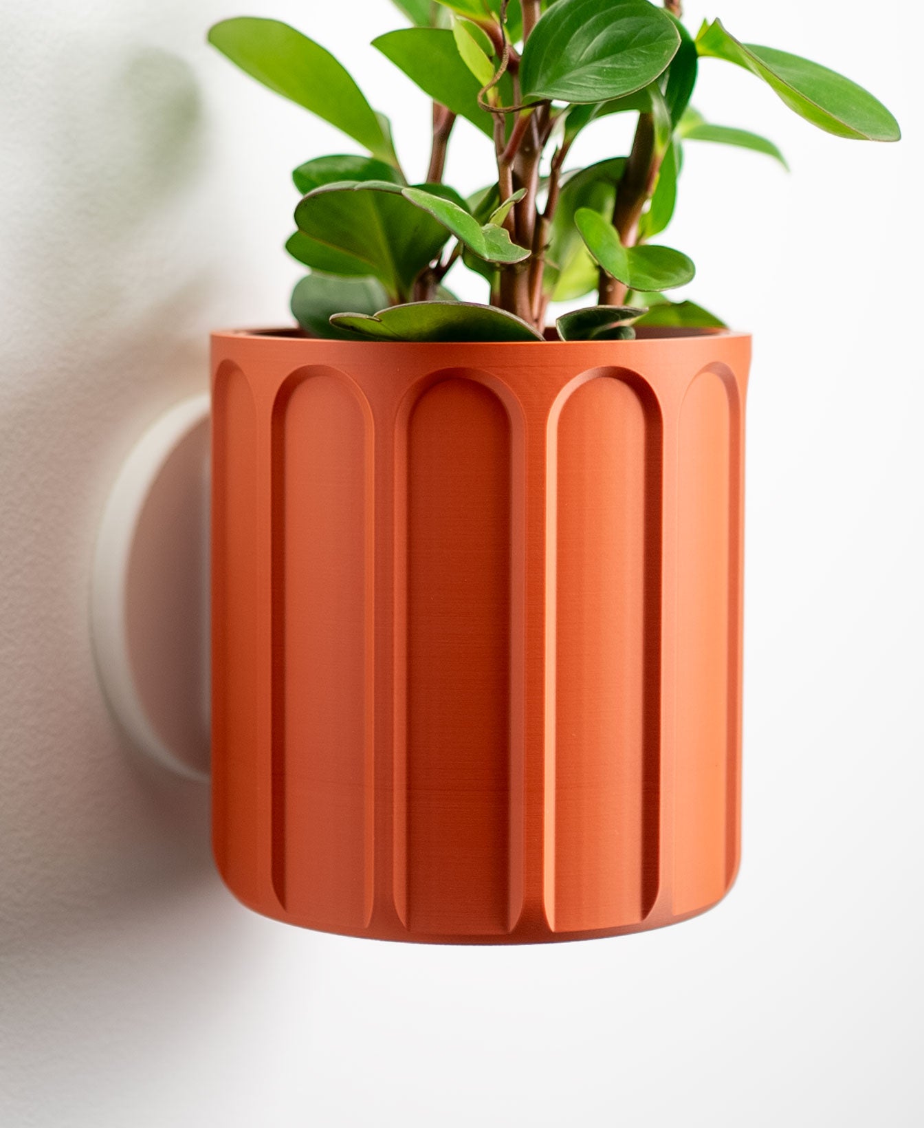 Linus Wall Planter with Hidden Drip Tray