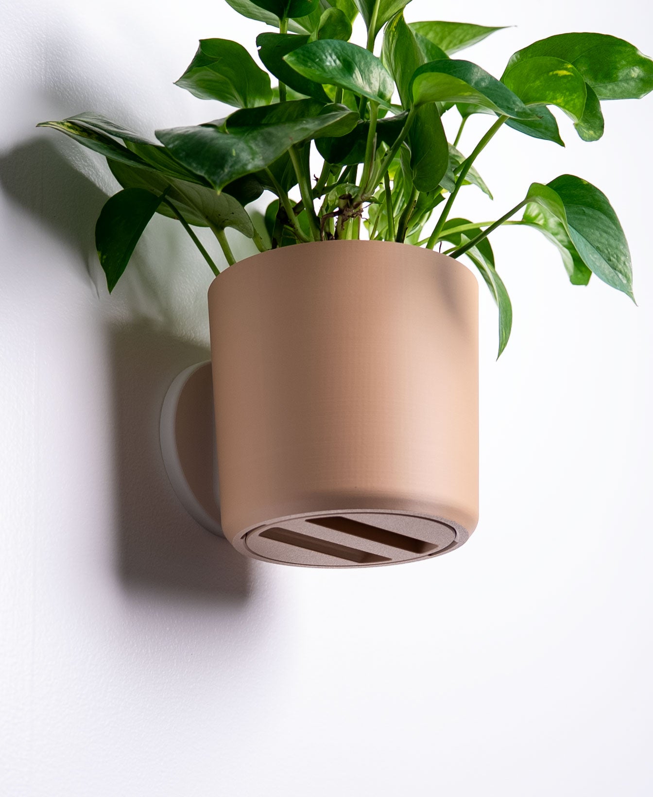 Smooth Wall Planter with Hidden Drip Tray