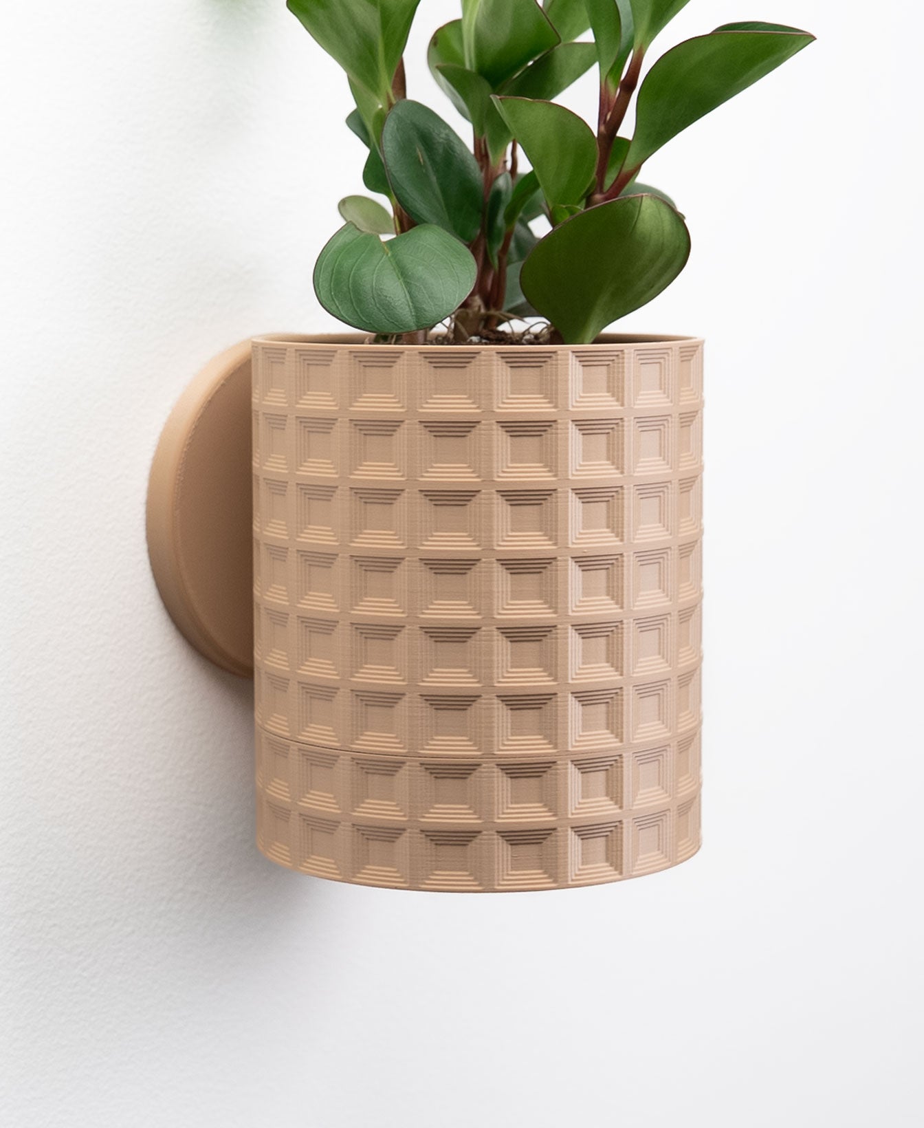 Echo Wall Planter with Hidden Drip Tray