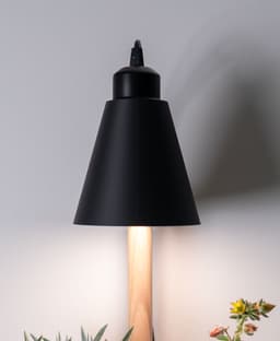 The Rail Grow Light Attachment