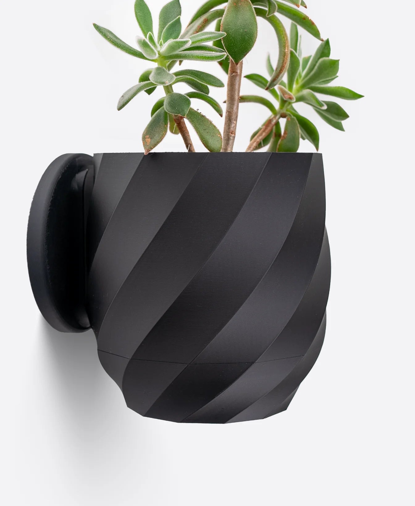 Twisted Wall Planter with Hidden Drip Tray