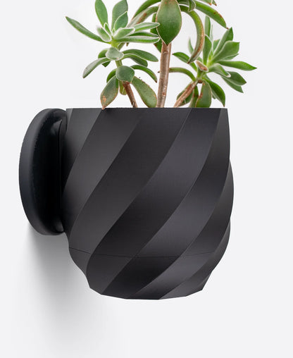 Twisted Wall Planter with Hidden Drip Tray