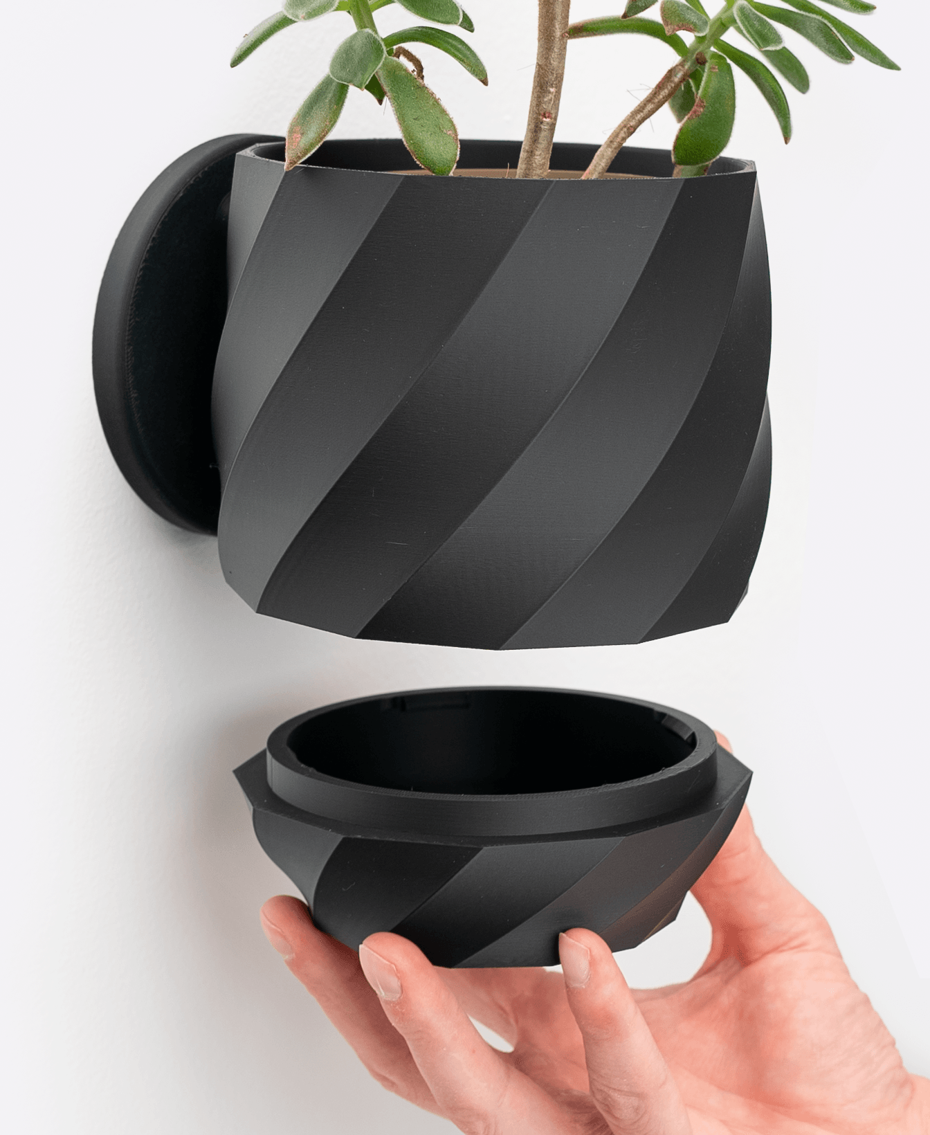 Twisted Wall Planter with Hidden Drip Tray