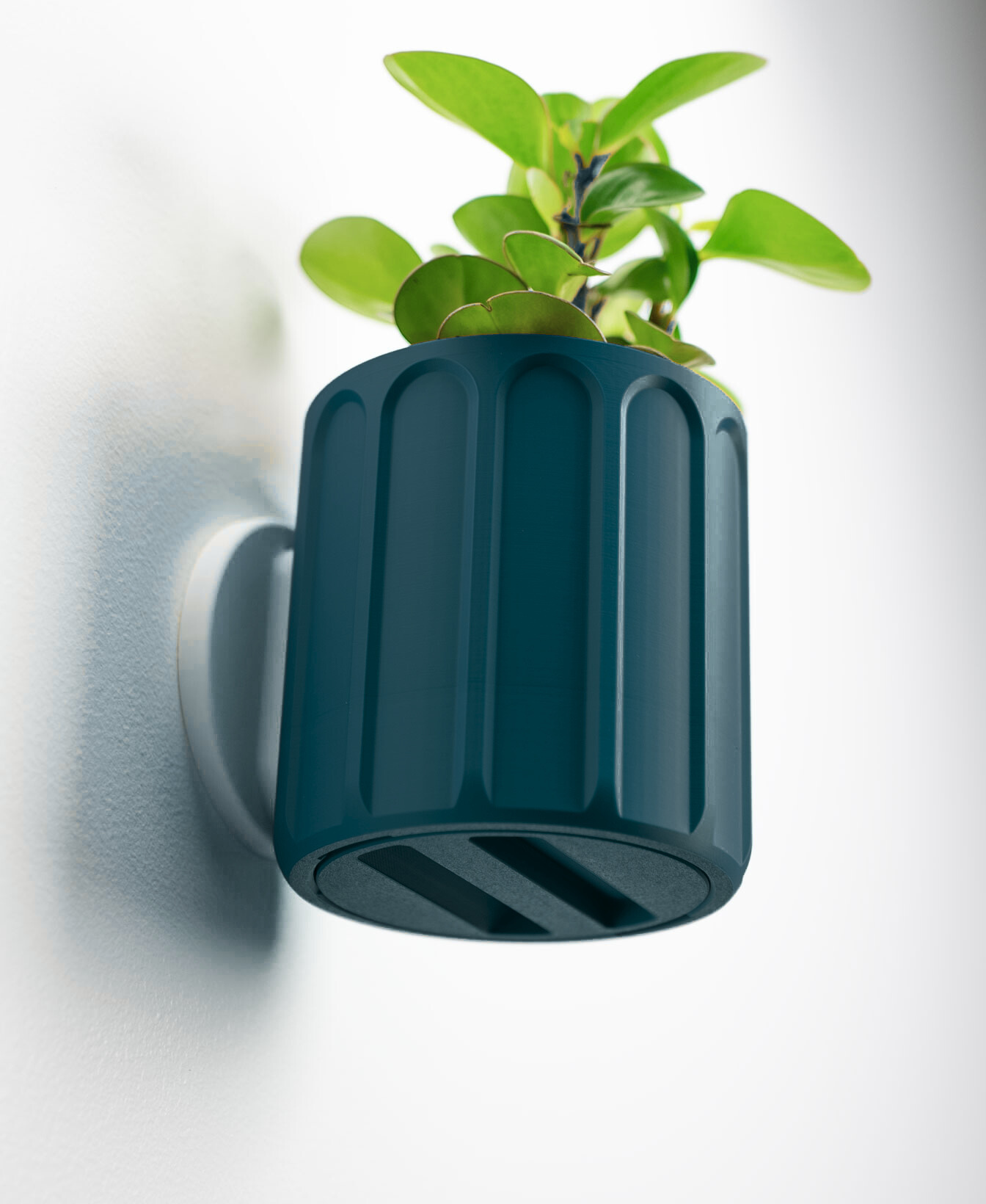 Linus Wall Planter with Hidden Drip Tray