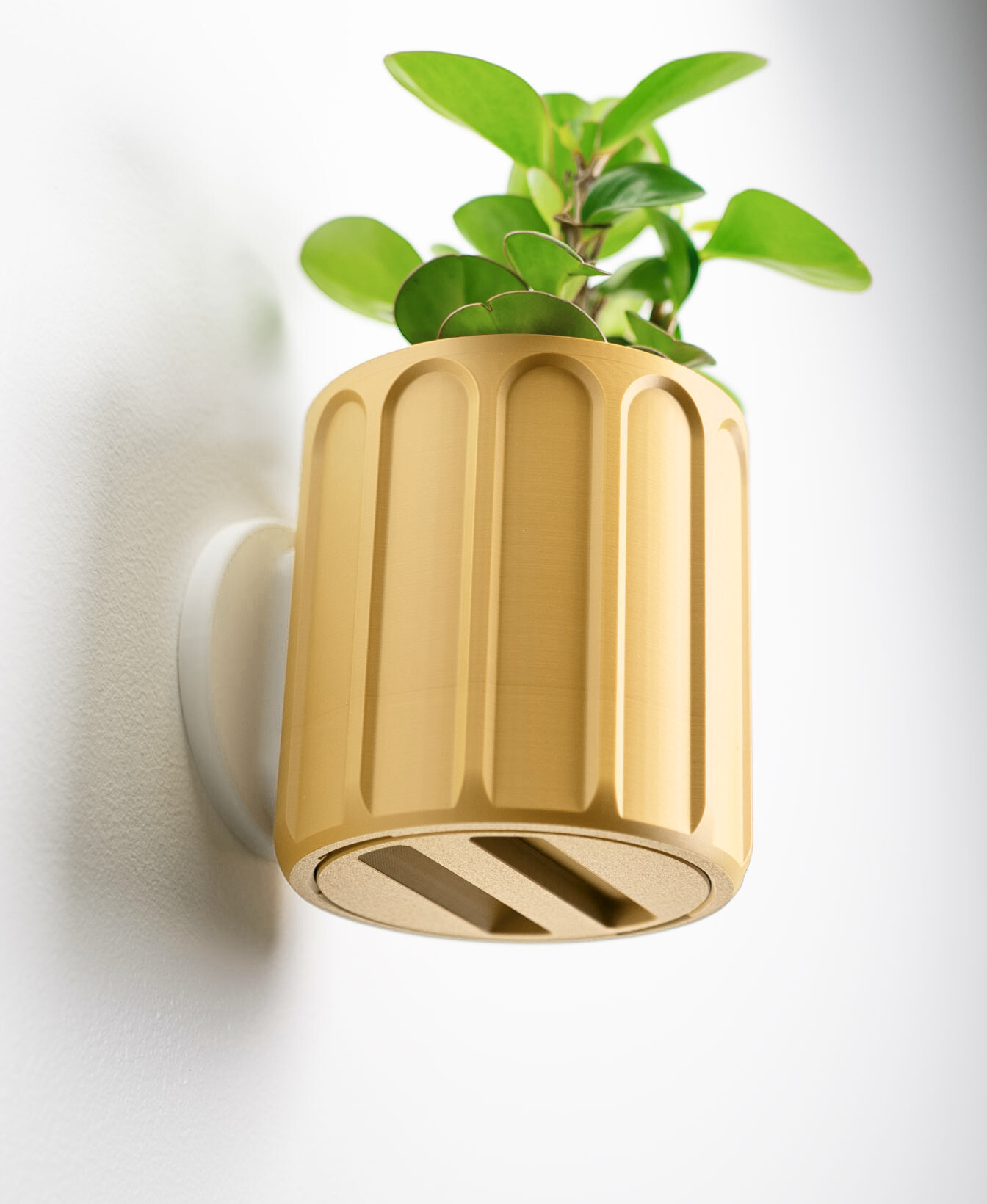 Linus Wall Planter with Hidden Drip Tray