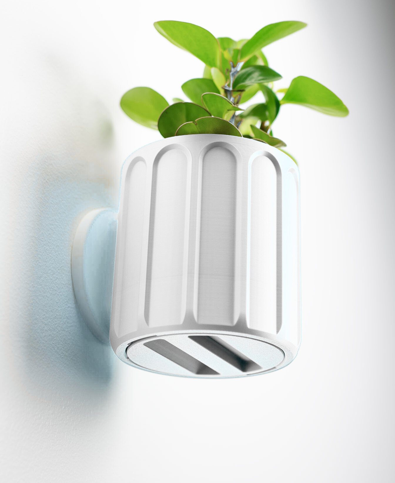 Linus Wall Planter with Hidden Drip Tray