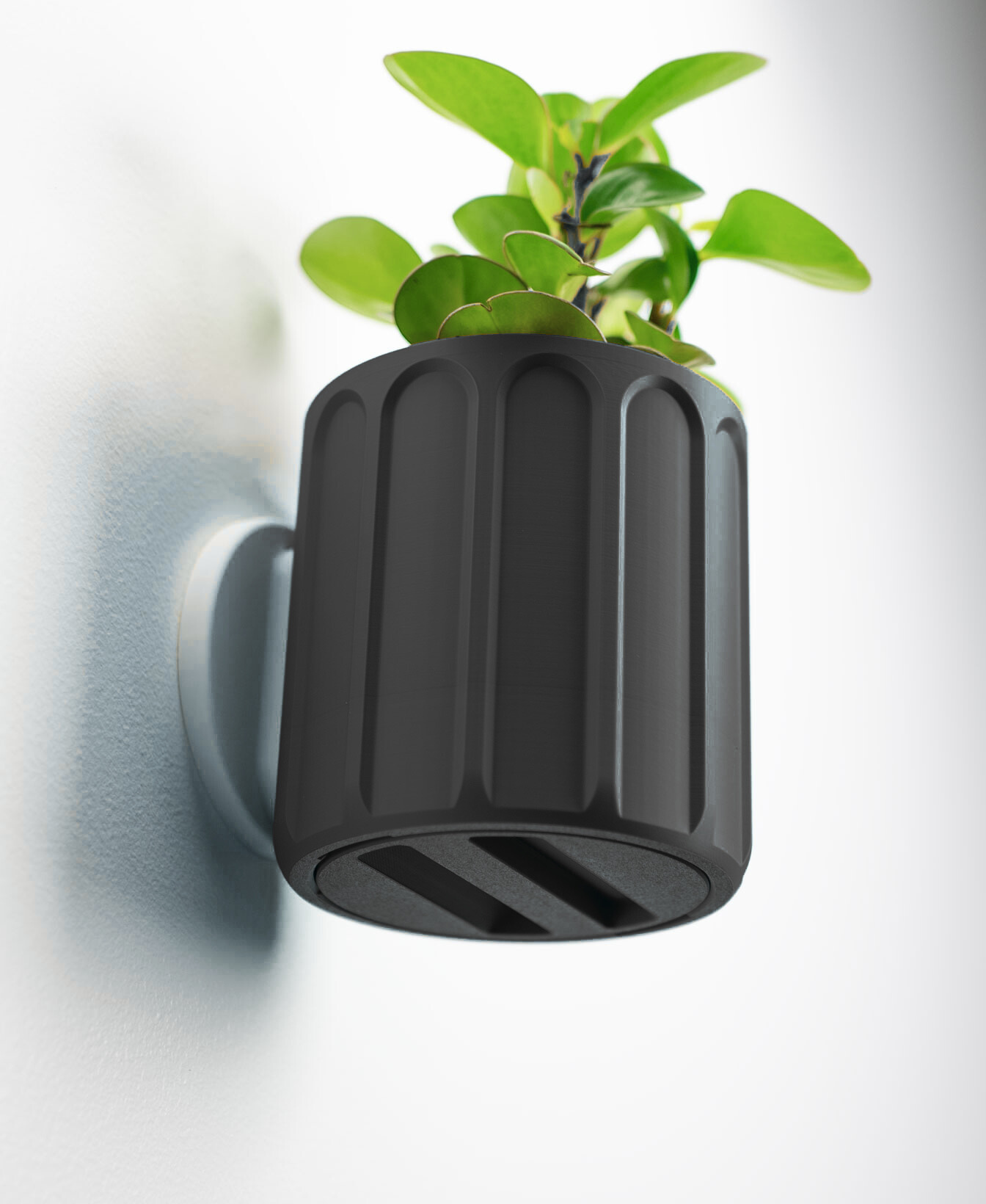 Linus Wall Planter with Hidden Drip Tray