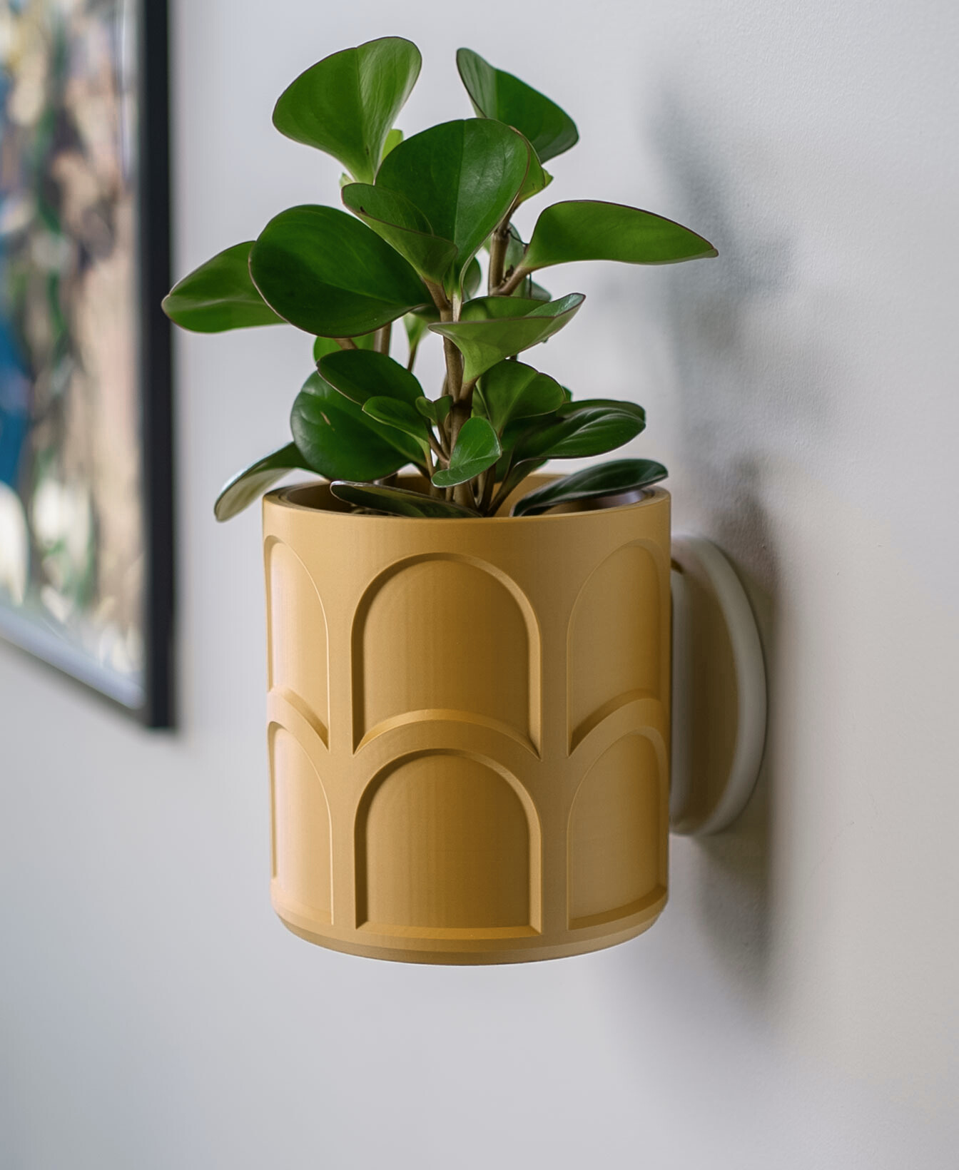 Archie Wall Planter with Hidden Drip Tray