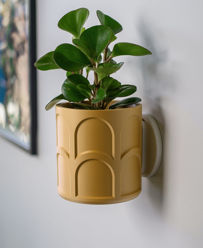 Archie Wall Planter with Hidden Drip Tray